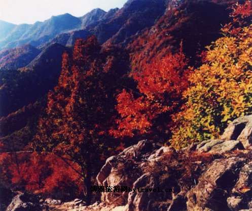 白羊峪长城旅游区
