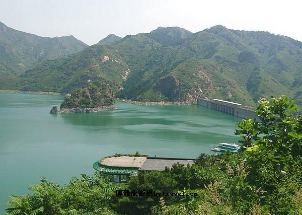 山海关大樱桃
