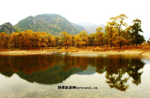 和平森林公园