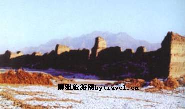 阳原供佛杏