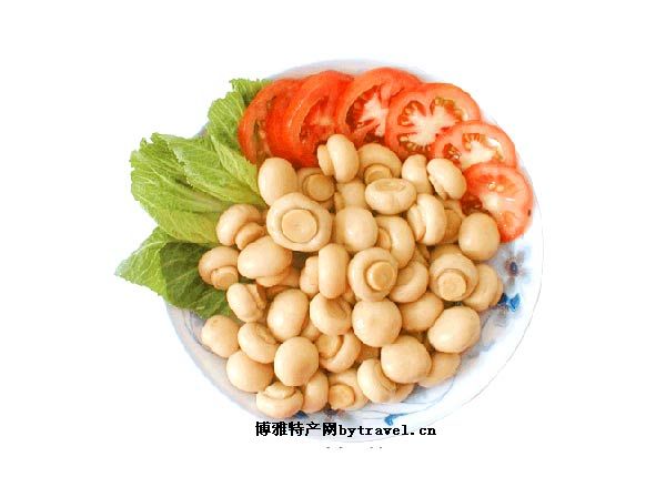 蘑 菇
