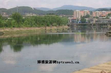 面 麻 片