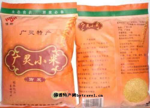广灵小米
