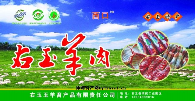 山西朔州右玉县丁家窑乡