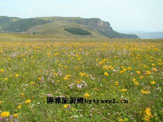 舜王坪