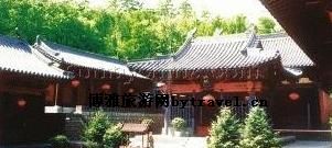 台党参