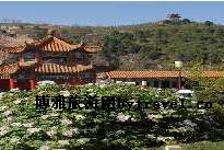 三和牡丹景区