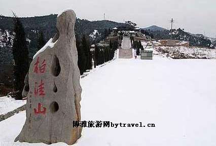 中阳芝麻