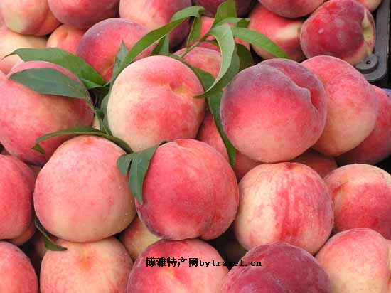 老堡子鲜桃