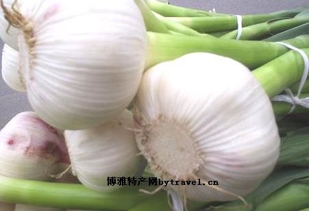 兴平大蒜