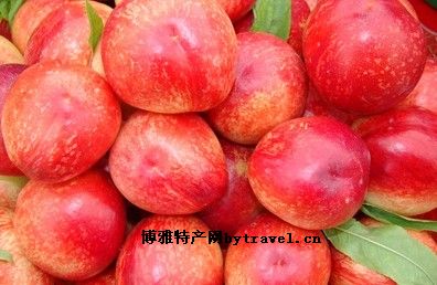 兴平油桃