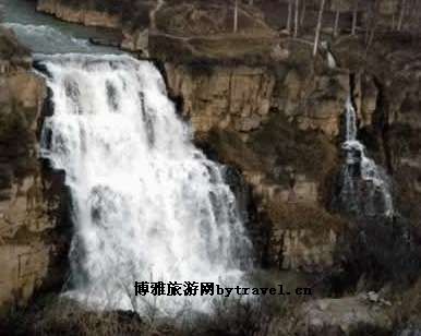 白帽辫