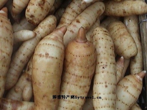 略阳天麻