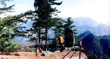 五龙洞森林公园