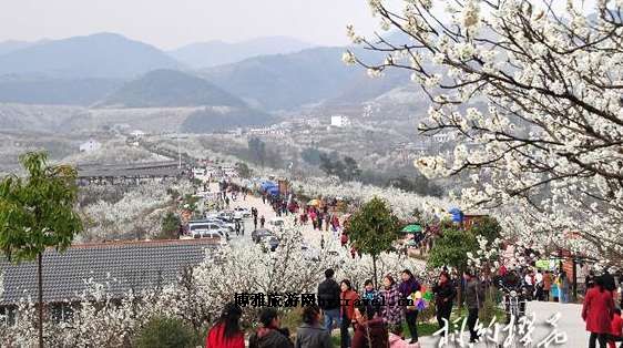 陕西汉中市西乡县地图