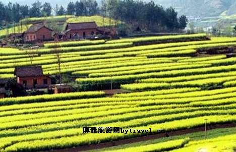 陕西汉中市城固县博望镇