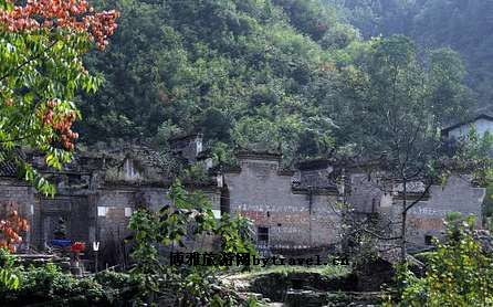 张家大院