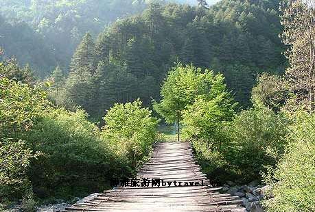 上坝河森林公园