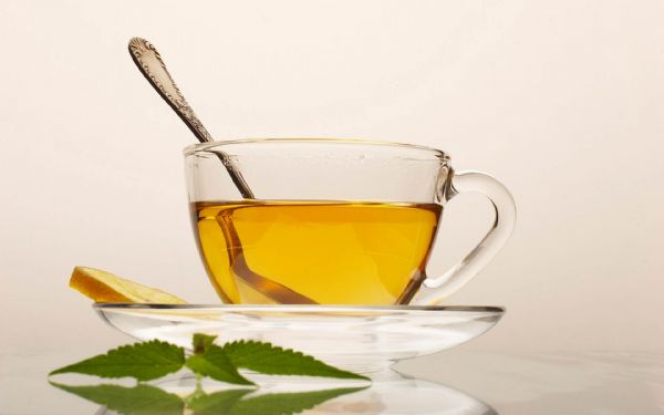 商南春茶
