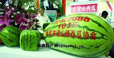小梁山西瓜