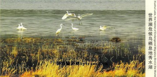 秀水湖