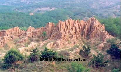 骆驼山海滨森林公园