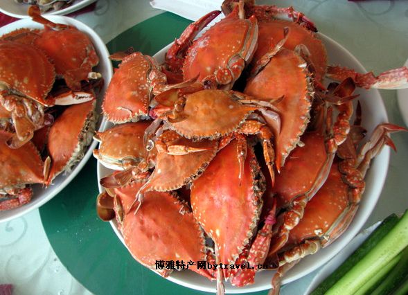 东港梭子蟹