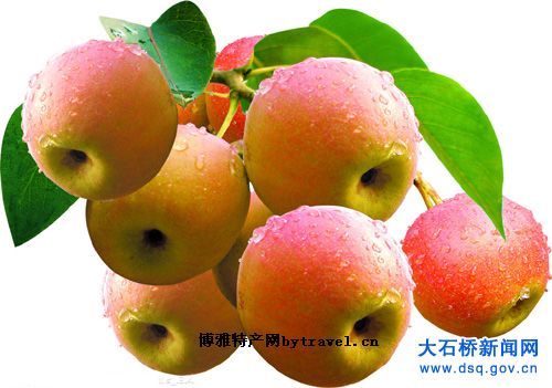 张官南果梨