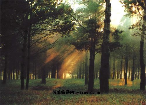 大漠-风光
