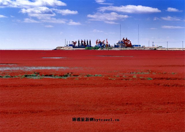红海滩