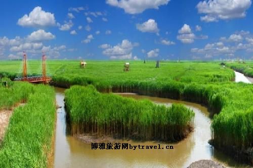 苇海鼎翔度假区
