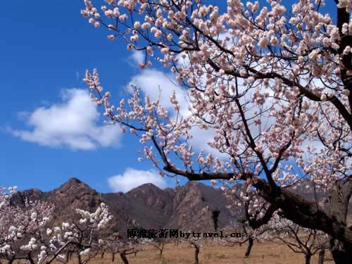 葫芦岛虹螺山