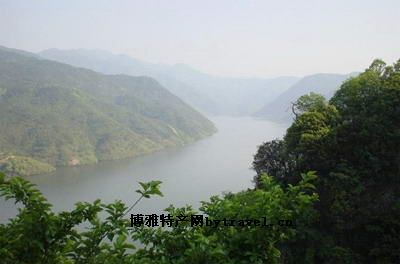 富春江七里扬帆
