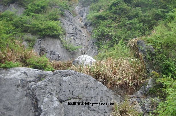 纪龙山