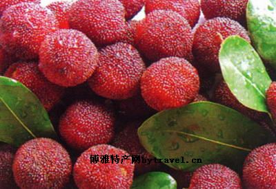 萧山杨梅