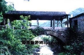 余姚瀑布仙茗