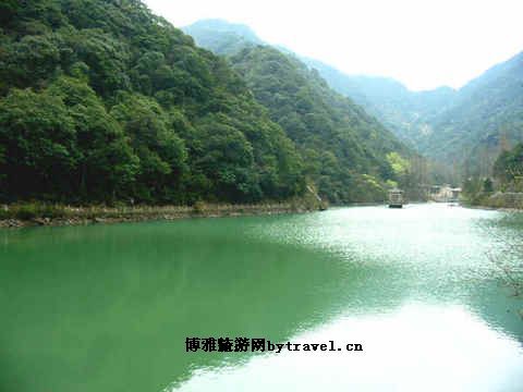 鄞州贝母