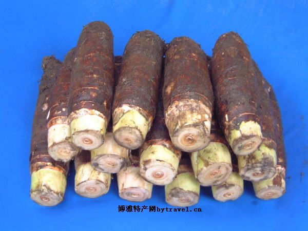 文成粉丝