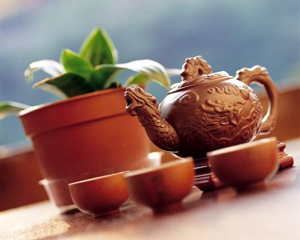 平阳早香茶