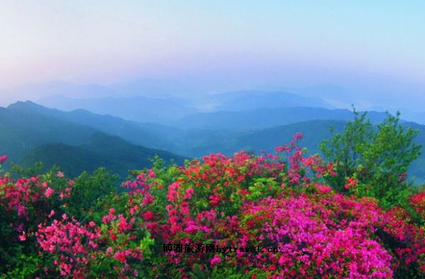 四海山景区