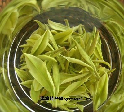 安吉白茶