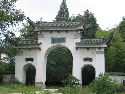 高山灵芝片