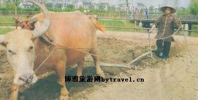 江南农耕文化园