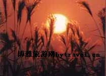 沙家浜