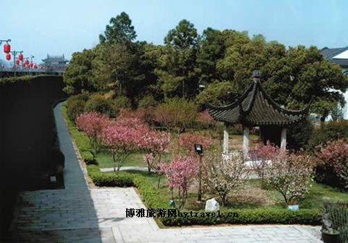 盘门