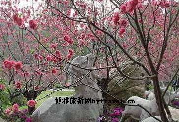桃花涧景区