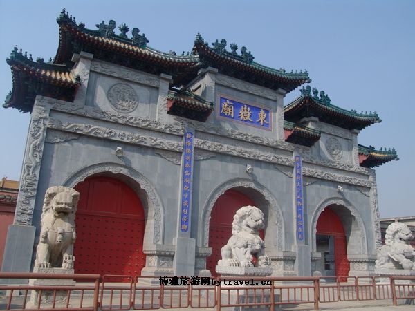 洲八样