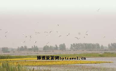 太平池水库