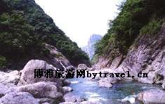 干饭盆景区