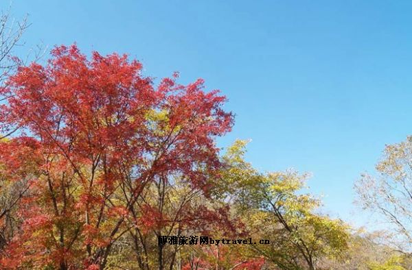 珠尔山